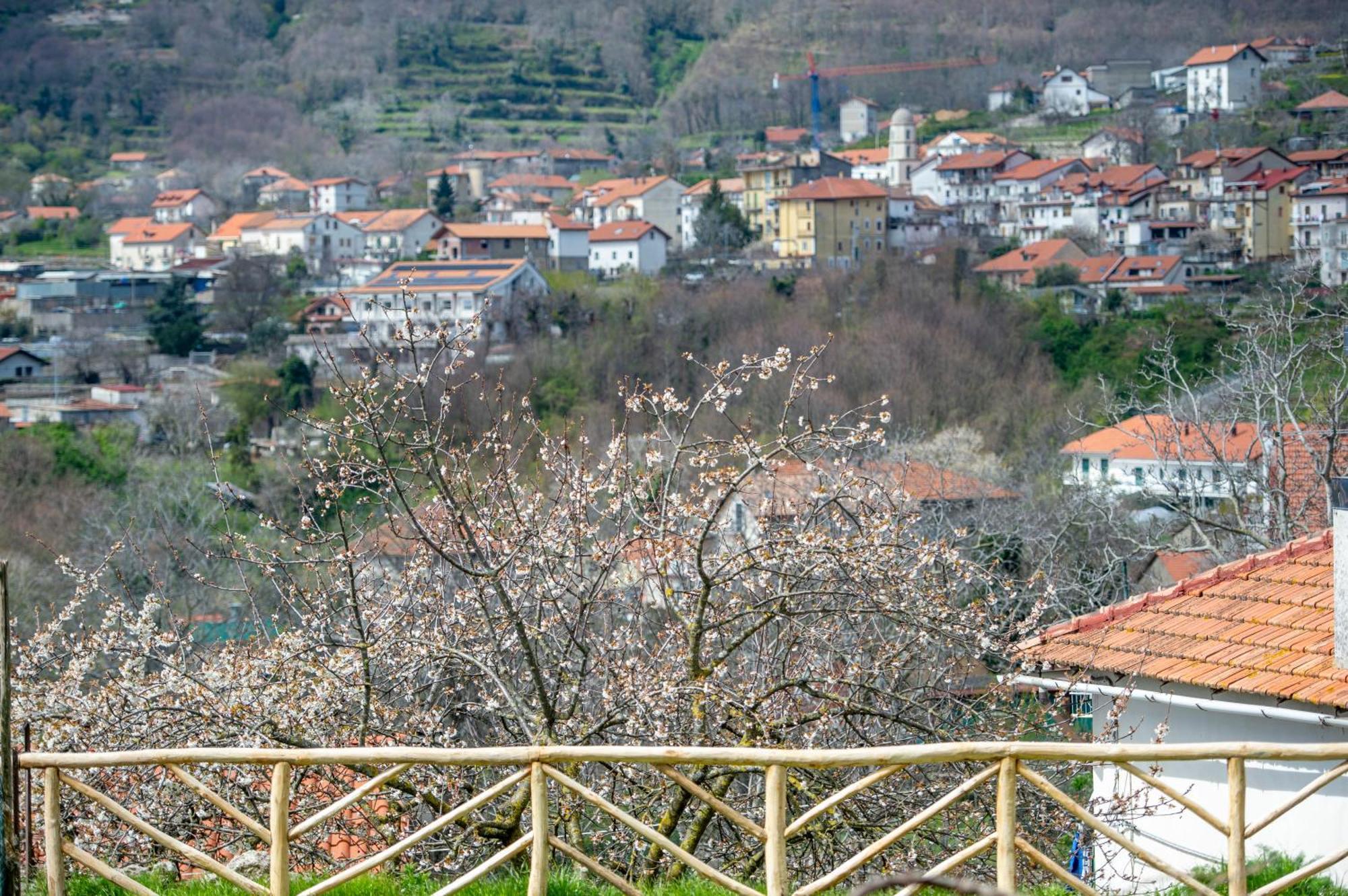 Appartamenti Aria Di Verde Agerola Luaran gambar